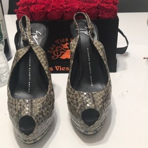 Giusssipie zannoti heals